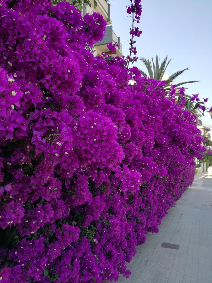 كالياري Su Murdegu المظهر الخارجي الصورة